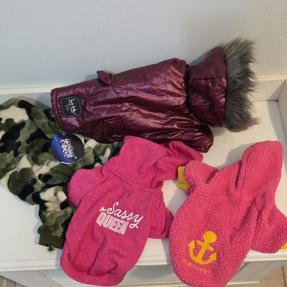 Dog 4 Piece Set Assorted  Hoodies